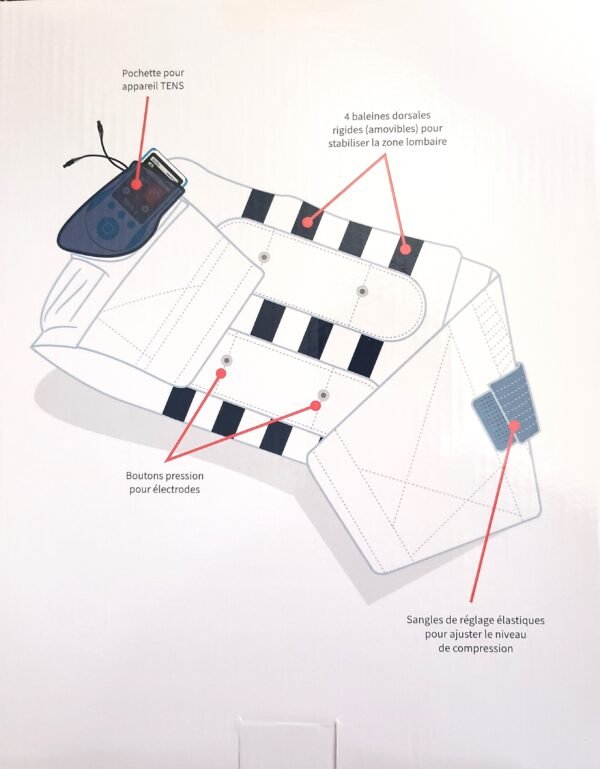 presentation de la ceinture tens